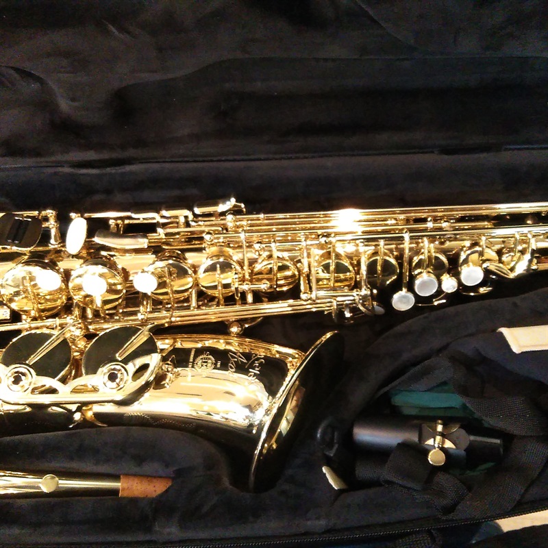Selmer Paris A.Sax AXOSの画像